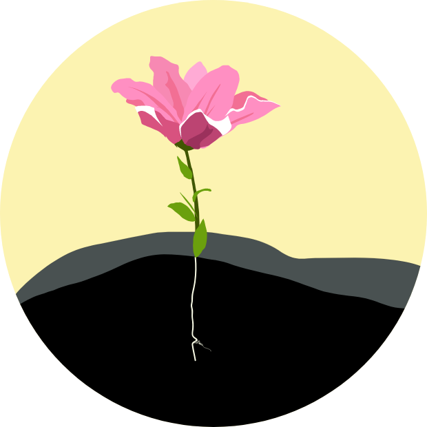 Icon with graphic of a flower growing from the earth